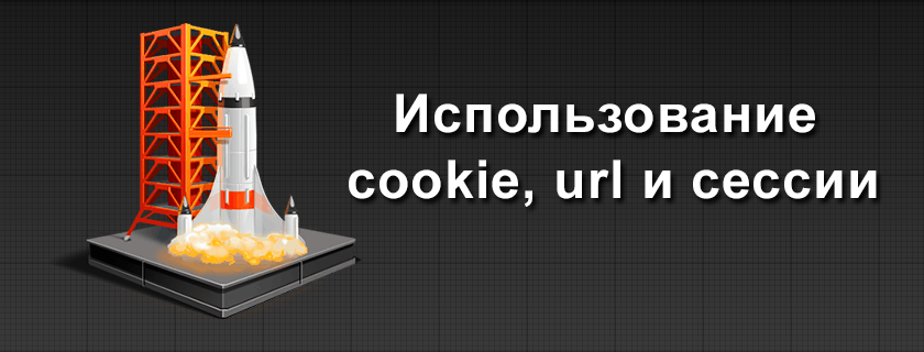 Использование cookie, url и сессии